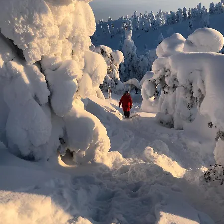 Lejlighed Rukankieppi